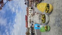 Serock RUO, fot. Zbigniew Pachulski