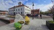 Serock RUO, fot. Zbigniew Pachulski