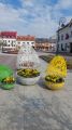 Serock RUO, fot. Zbigniew Pachulski