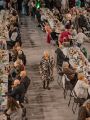 Seniorada 2025, fot. Kamila Figarska