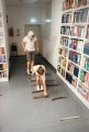Podróżuj po świecie z biblioteką, 2026